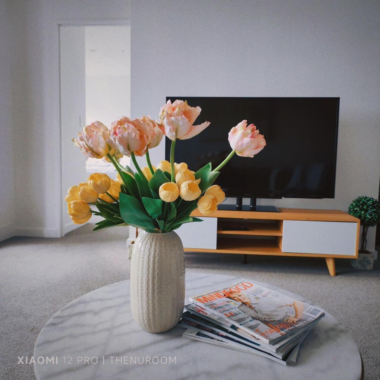 Auckland Birkenhead Bnb Exteriér fotografie